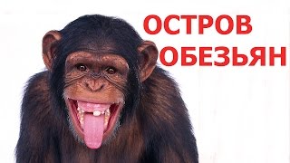 Тайланд острова #1.Остров обезьян Пхи Пхи в Тайланде Тайланд острова #1.Остров обезьян Пхи Пхи в Тайланде