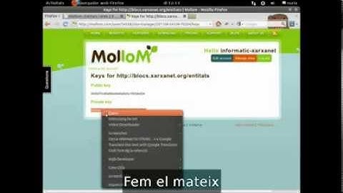 Com configurar el Mollom? - Curs de Blocs - nivell avançat