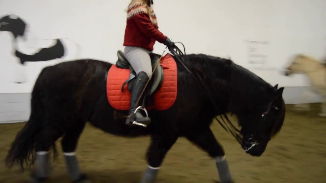 Tack up and ride | Lesson Edition - YouTube