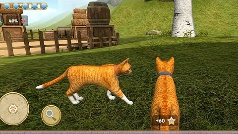 Cat Simulator: Kitties Family | gameplay walkthrough part 8 | Red Chilli Gaming | Android iOS