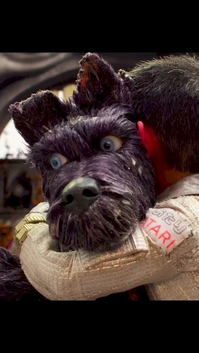 “I BITE… BUT I DON’T KNOW WHY” 🐾💔 THE MOST BEAUTIFUL ISLE OF DOGS MOMENT #IsleOfDogs #WesAnderson