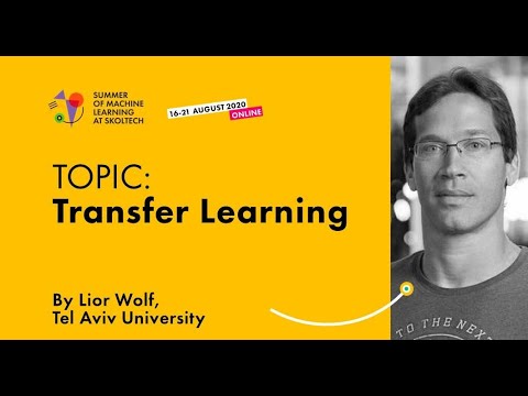 Transfer Learning — LIOR WOLF