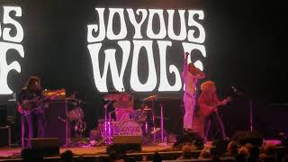 Joyous Wolf