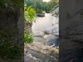 🧚🏻♀️ #dayinthelife #adventure #nature #shortsfeed #water #asmr #asmrsounds