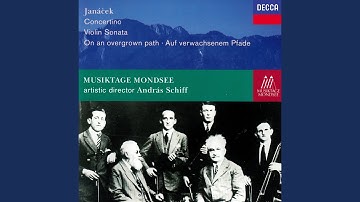 Janáček: On an Overgrown Path (Po zarostlém chodnicku) , JW 8/17 / Book 1: 6. Nelze domluvit!...