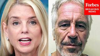 Dem Blasts Bondi's 'Unimpressive' Epstein Testimony, Says She Didn't 'Recall A Lot Of Other Things'