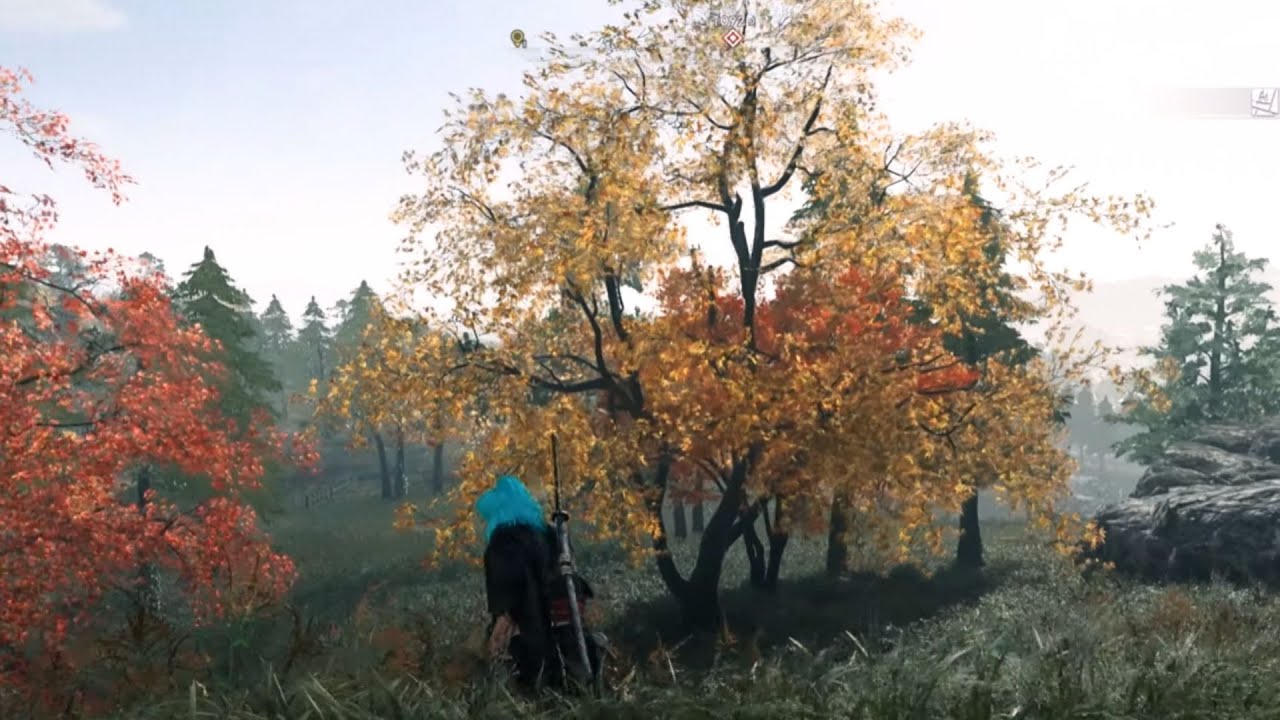 HOW BIG IS THE MAP in Rise of the Ronin? Sprint Across the Map