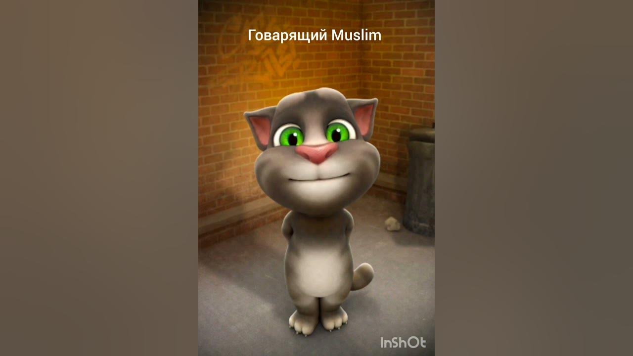 #сура #сүрелер #құранаяты #тәббәт - YouTube
