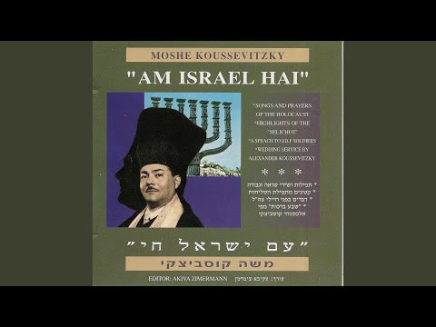 שירות חתונה 