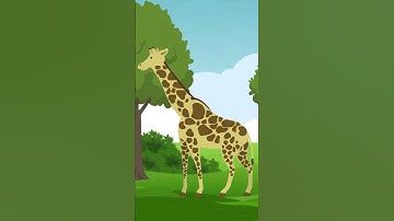 Moti Aur Giraffe | One Minute Story | Cartoon | #cartoonanimal