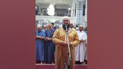 عشائية مرئية للشيخ وليد مهساس ❤️ | تلاوة من أجمل تلاواته (كأنه الشيخ علي جابر رحمه الله 🤲)