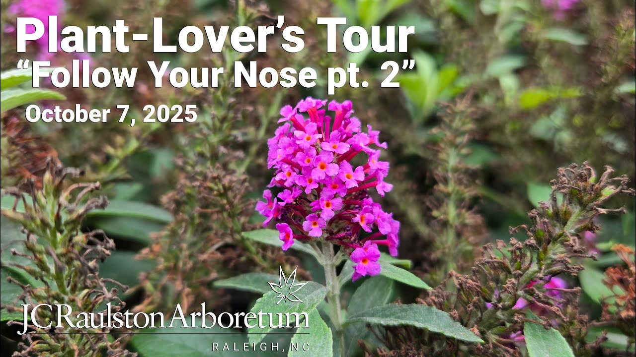 Plant-Lover’s Tour - “Follow Your Nose pt. 2”