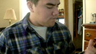 The Killers - Human (ukulele cover)