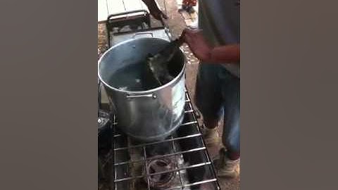 Homemade turtle soup part 4