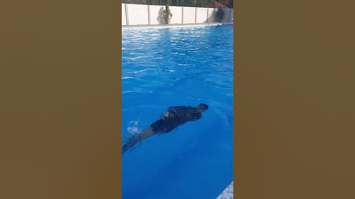 Pasukan Elit Korps Marinir Berenang dengan tangan dan kaki terikat