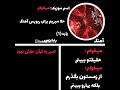 ریورس آهنگ میخوام تتلو پشمام میخوام تتلو حتما ساب کنید