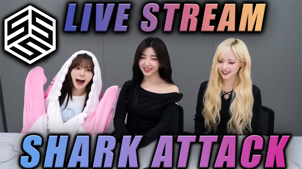 Enter Kotone : Leader Of The Shark Clan 🦈|  𝑻𝒓𝒊𝒑𝒍𝒆𝑺 💫 Reaction