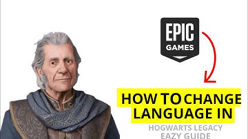 I Changed The Language In Hogwarts Legacy & It