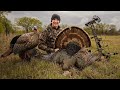 Opening day turkeys charge decoy