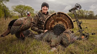 Opening Day Turkeys Charge Decoy!