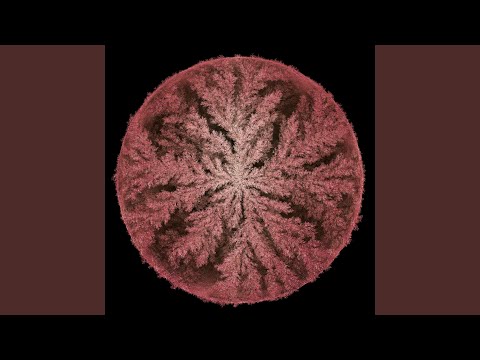 Distant Light (Rival Consoles Remix)