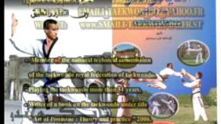 Smaili Aziz Taekwondo 6