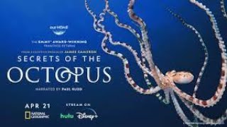Secrets of the Octopus Documentary (full'episode English 2024) Stars: Alex Schnell, Paul Rudd