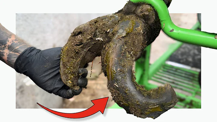 HUGE HOOF has a HIDDEN secret I wasn’t expecting!!!!! 😳