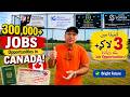 Canada Needs Workers! Reality Explained!