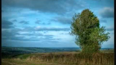 سورة نوح -الشيخ محمد عبد الكريم.flv