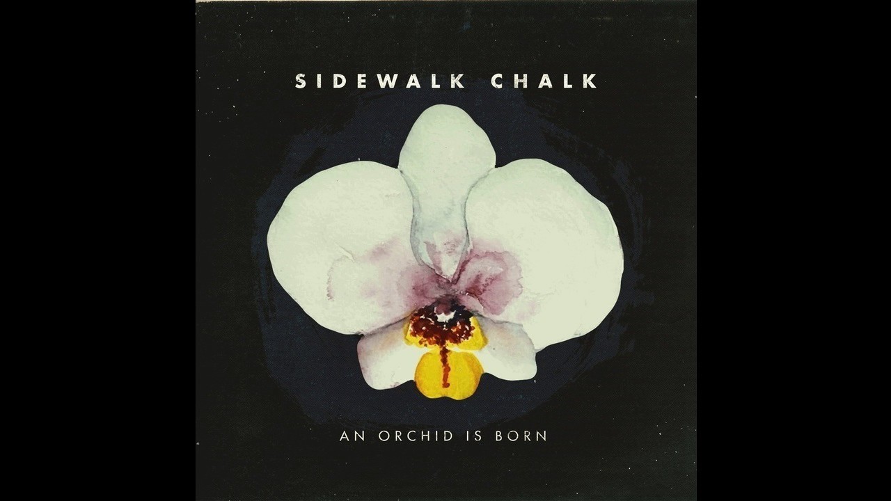 Guarda Sidewalk Chalk - Bloom Again su YouTube Guarda Sidewalk Chalk - Bloom Again su YouTube