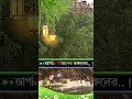 জুম্মা মোবারক #4kstatus #hit2026