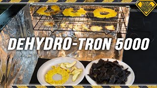 DIY Dehydrator from Cardboard Box! TKOR's Guide To A Homemade Dehydrator Machine!