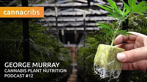 Science of Cannabis Nutrients Guide with Formulation Chemist (Canna Cribs Podcast)