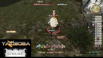 FFXIV HW Hunts: Getting Squonk to Chirp