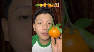 6 Jenis Jeruk, 6 Rasa Berbeda 🍊 Yang Mana Favorit Kalian? #shorts #mukbang #jeruk #orange #fruit