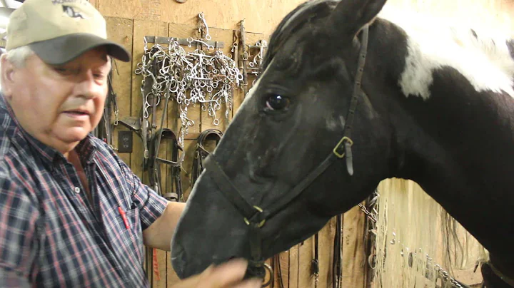 McNatt Farms Caveson and curb chain Instructions F...