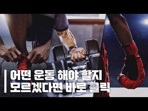 나와 가장 잘 맞는 운동은 뭘까? 운동 선택장애 해결 | 1편 [헬스, 복싱, 러닝]