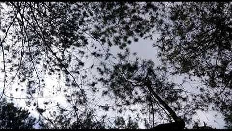 Camp51INF Teknik Animasi IPB by: Ghina