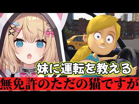 【妹に運転を教える】ところでアクセルとブレーキって右と左どっちなのかな？！【花園セレナ】