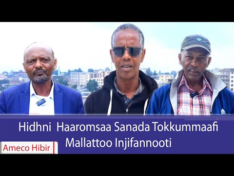 AMECO HIBIR Hidhni Haaromsaa Sanada Tokkummaafi Mallattoo Injifannooti 28 12 2017