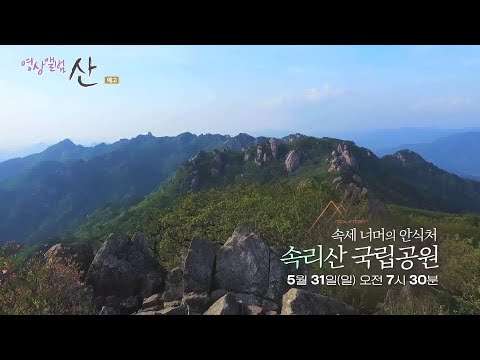 [<strong>예고</strong>] 속세 너머의 안식처 속리산 <strong>국립공원</strong> [영상앨범 산]