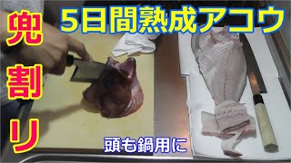 【HRF ロックフィッシュ】40cmのアコウ（キジハタ）を5日熟成して食す！！