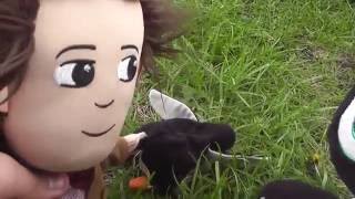 DOCTOR WHO PLUSH ADVENTURES SEASON: 2 EPISODE: 3