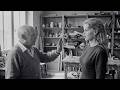 Pablo Picasso REFUSED to Paint Brigitte Bardot — What She Did Next Left Him Speechless