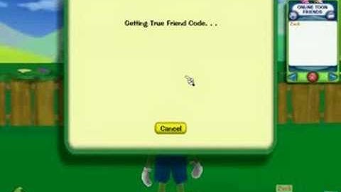 My ToonTown True Friend Codes!