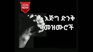 እጅግ ድንቅ መዝሙሮች |l  Ethiopian protestant mezmur collection