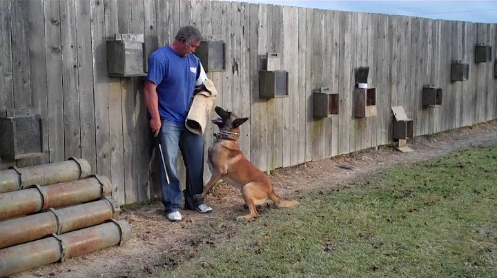 MaxRevier USK9 Roger Abshire
