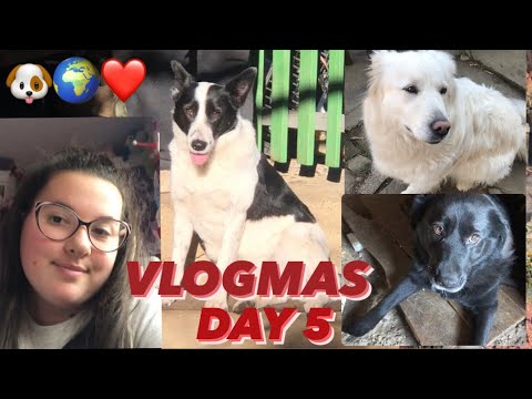 VLOGMAS DAY 5❄️🎄🎁с кученцата ни,учене,подготовка за училище| MARIA🎀
