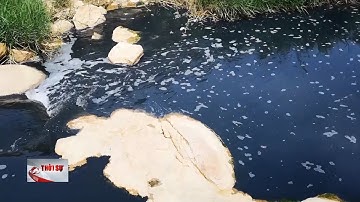 Bà Rịa - Vũng Tàu điều tra công ty xả thải gây ô nhiễm nguồn nước